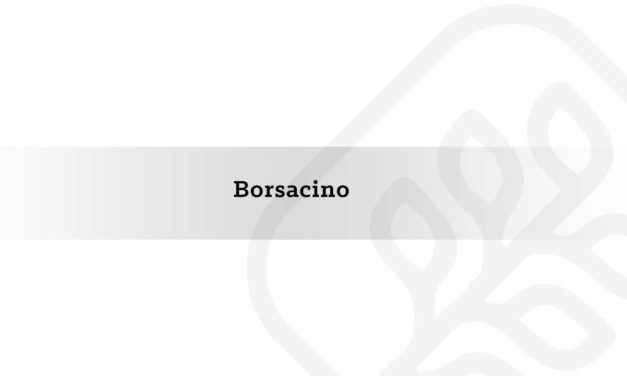 Borsacino