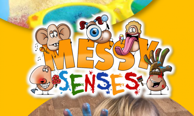 Messy Senses Ltd